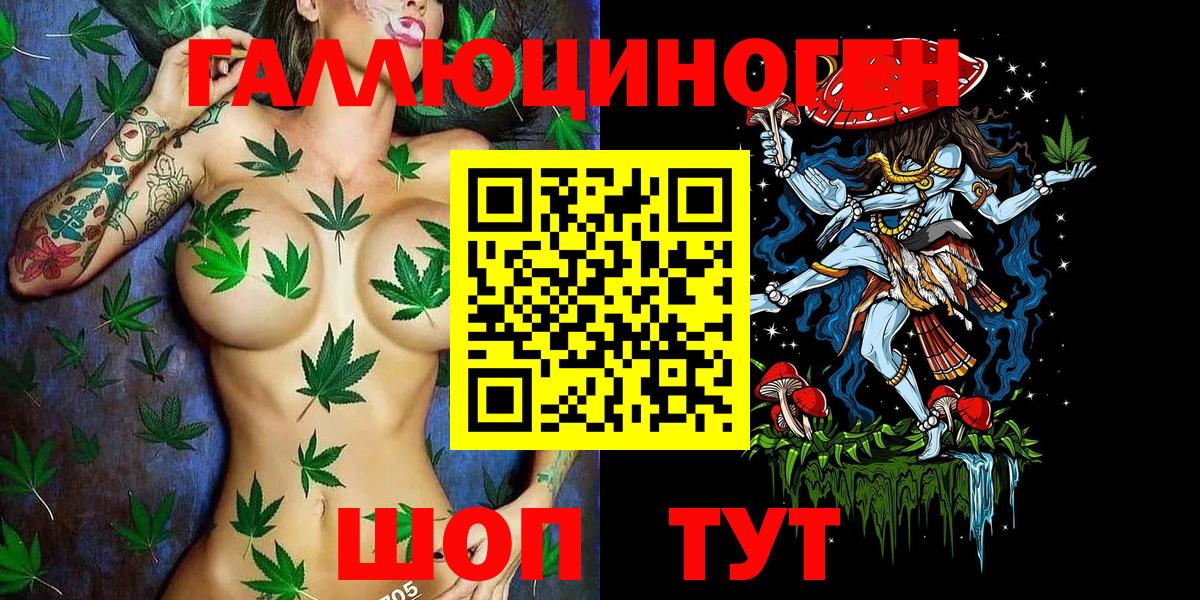 Галлюциногенные грибы Cubensis Узловая