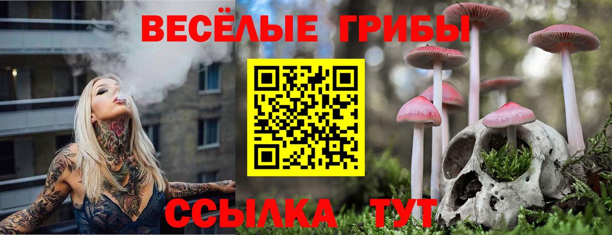 Галлюциногенные грибы ЛСД  Галлюциногенные грибы мицелий  Узловая  Вход с VPN 